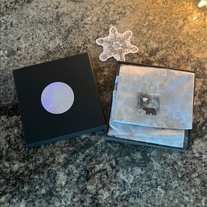 REAL Preserved Snowflake ❄️